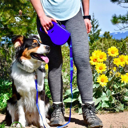 Laisse multifonctionnelle pour chien
