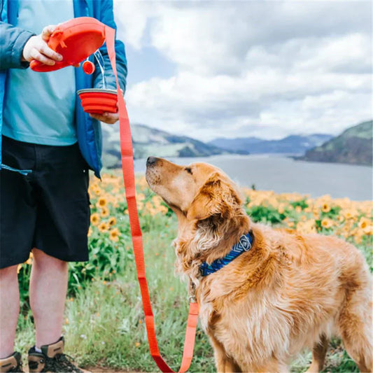 Laisse multifonctionnelle pour chien